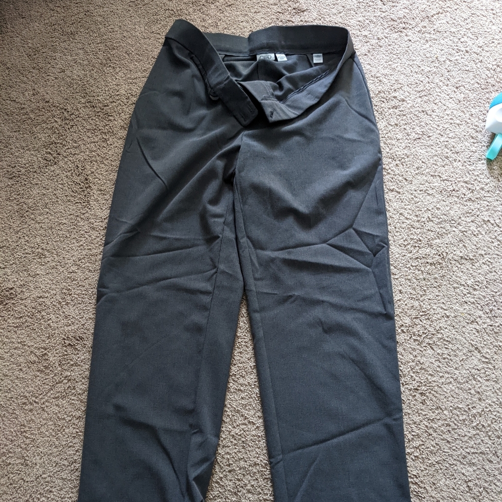 Dress pants